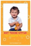 texas citrus poster