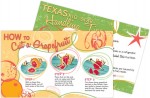 grapefruit sectioning card