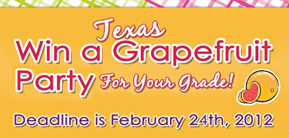 grapefruit-party